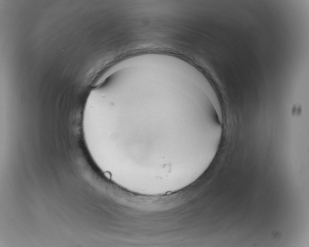 X0000112740023200910011231