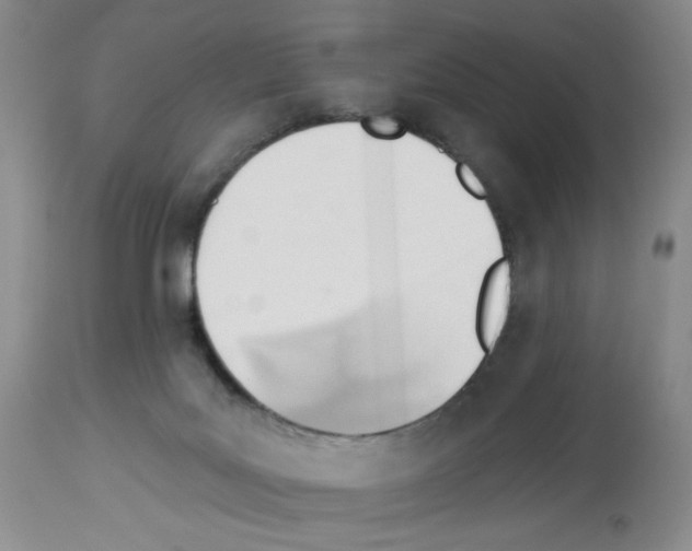 X0000112740027200910011231