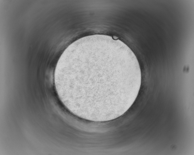 X0000112740028200910011231