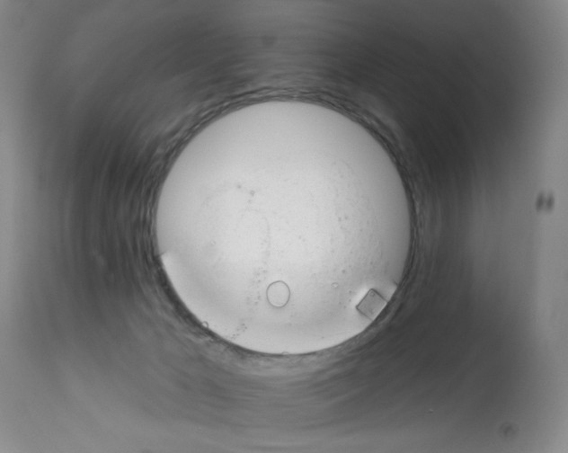 X0000112740029200910011231