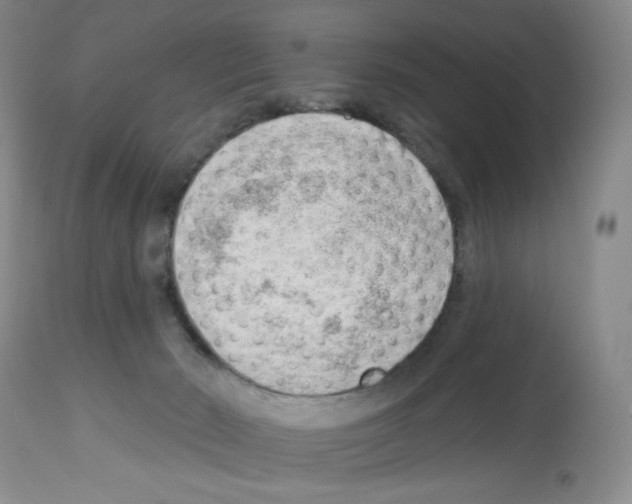 X0000112740030200910011231