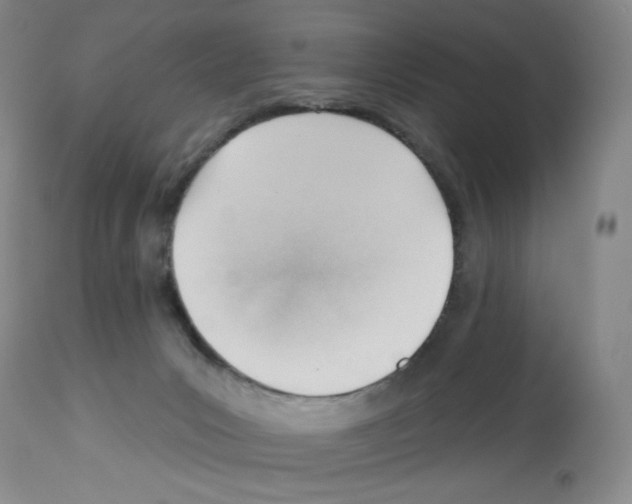 X0000112740031200910011231