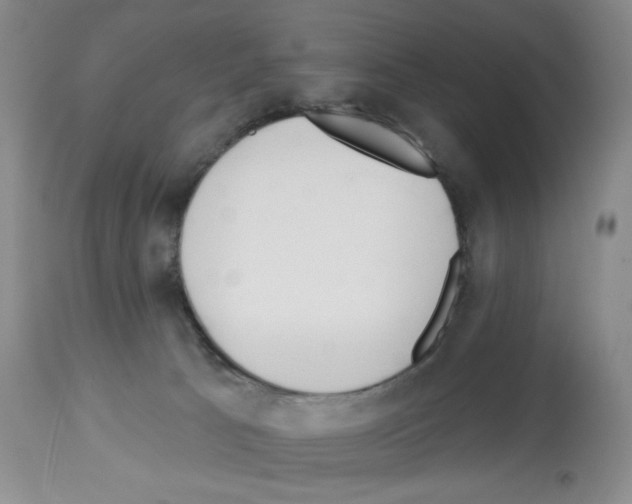 X0000112740033200910011231