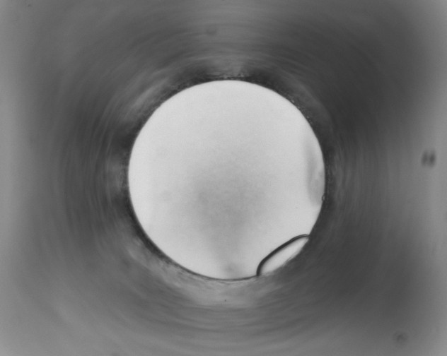 X0000112740035200910011231