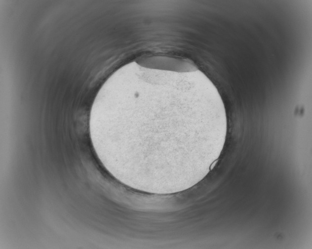 X0000112740036200910011231