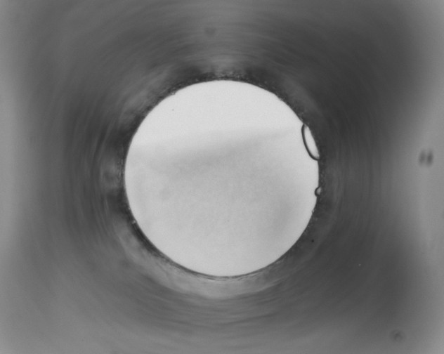 X0000112740039200910011231