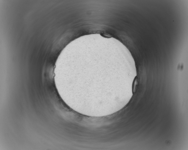 X0000112740041200910011231