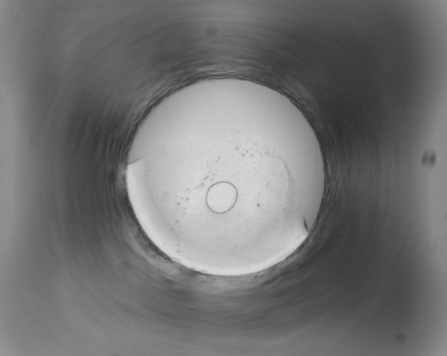 X0000112740045200910011231