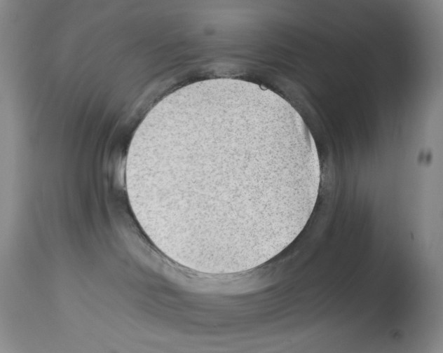 X0000112740046200910011231