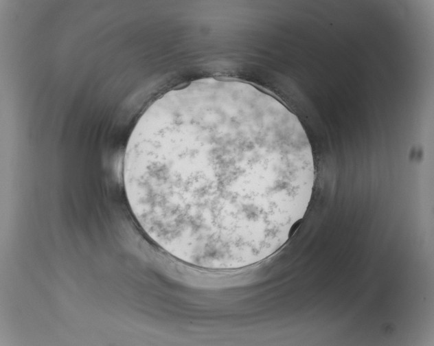 X0000112740047200910011231