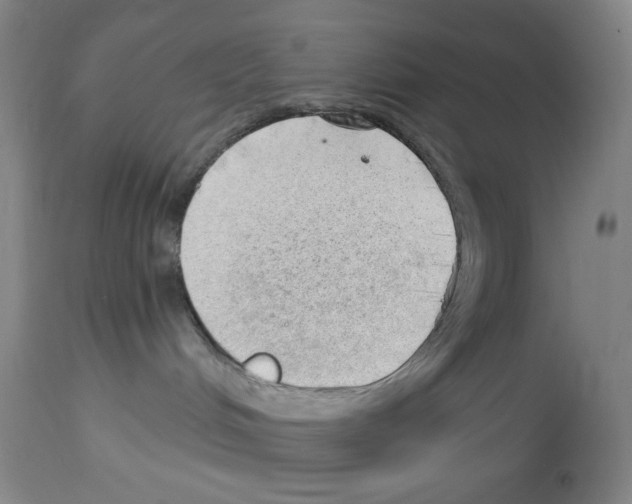 X0000112740048200910011231