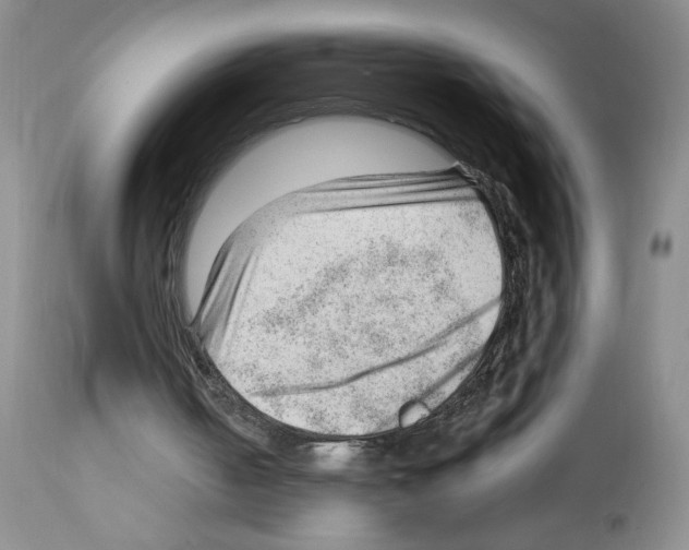 X0000112740050200910011230