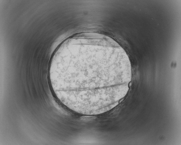 X0000112740051200910011230