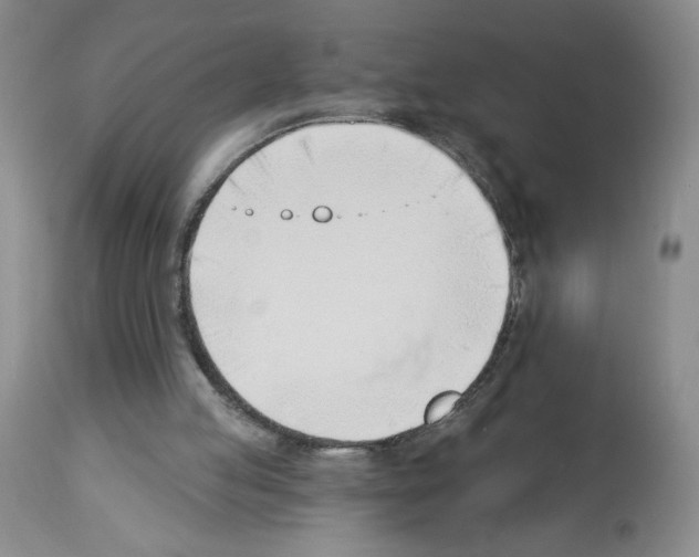 X0000112740053200910011230