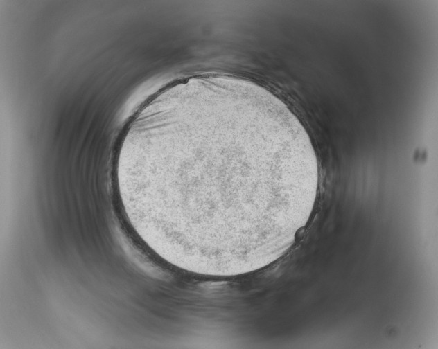 X0000112740054200910011230