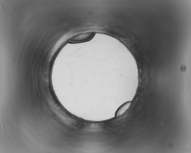 X0000112740056200910011230