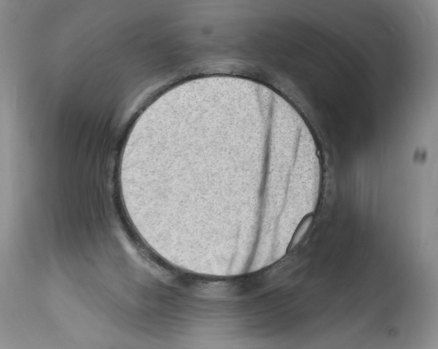 X0000112740058200910011230