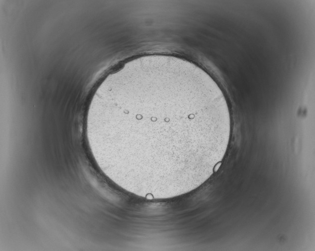 X0000112740059200910011230