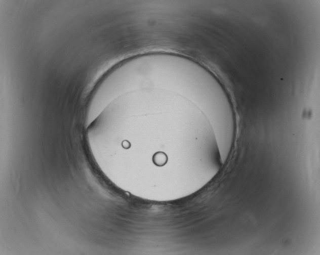 X0000112740060200910011230