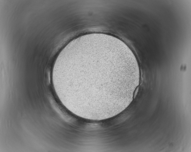 X0000112740061200910011230