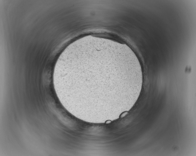 X0000112740063200910011230