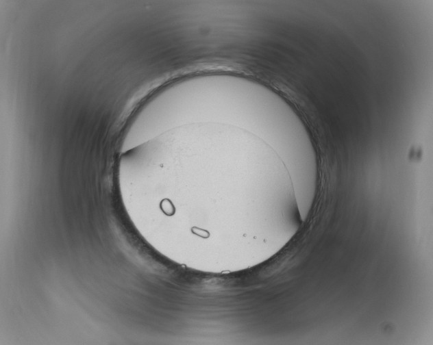 X0000112740064200910011230