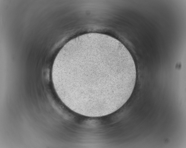 X0000112740067200910011230