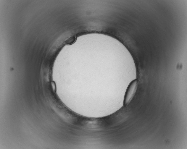 X0000112740068200910011230