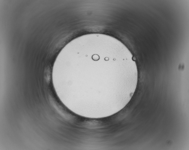 X0000112740069200910011230