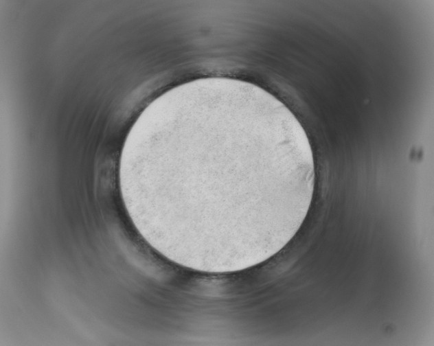 X0000112740071200910011230