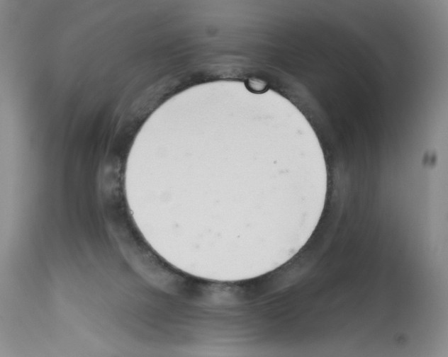 X0000112740073200910011230