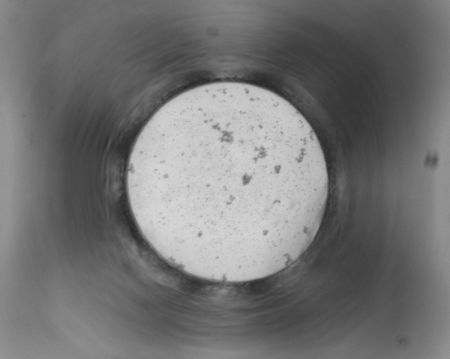 X0000112740074200910011230