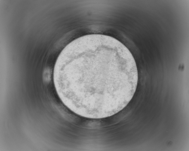 X0000112740075200910011230