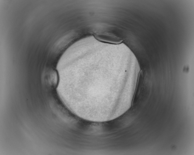 X0000112740076200910011230