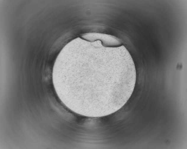 X0000112740077200910011230