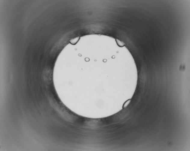 X0000112740079200910011231