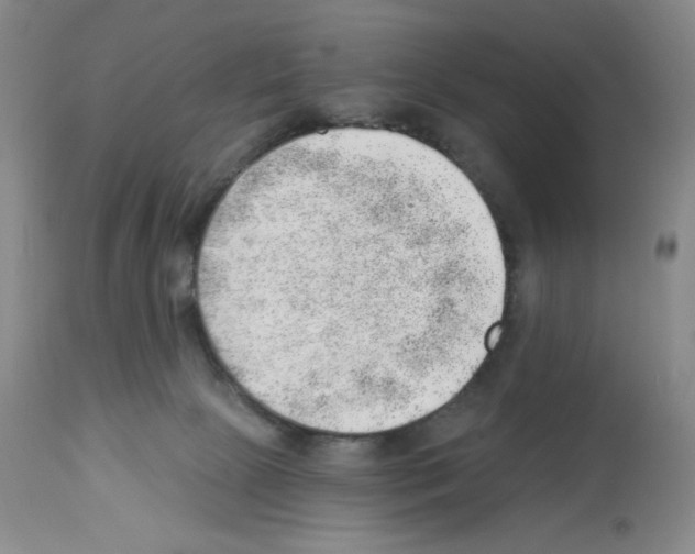 X0000112740081200910011231