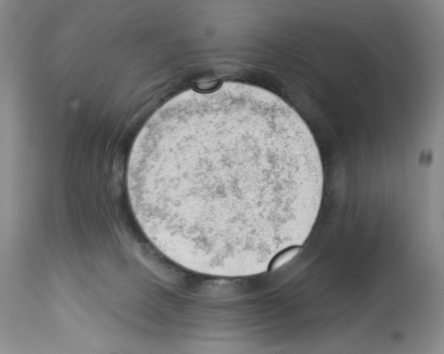 X0000112740082200910011231