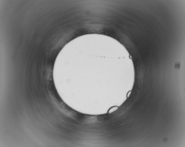 X0000112740083200910011231