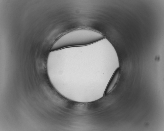 X0000112740084200910011231