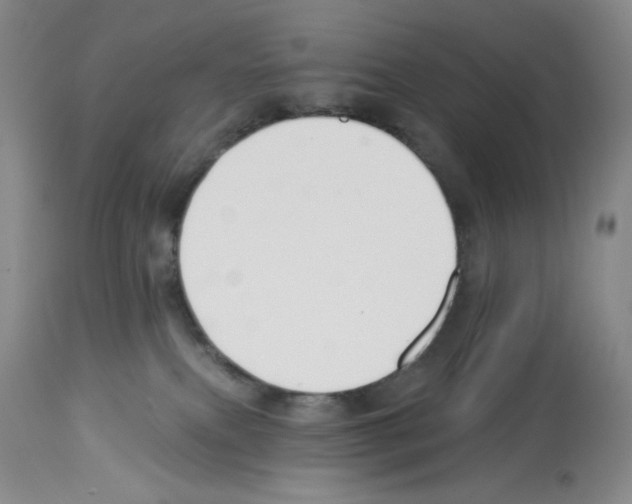 X0000112740087200910011231