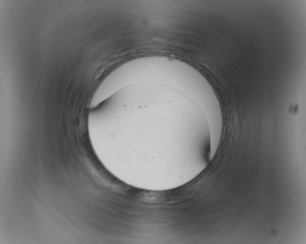 X0000112740088200910011231