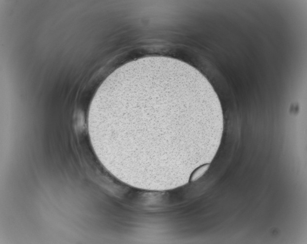 X0000112740089200910011231