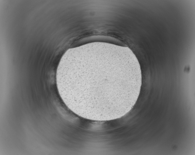 X0000112740090200910011231