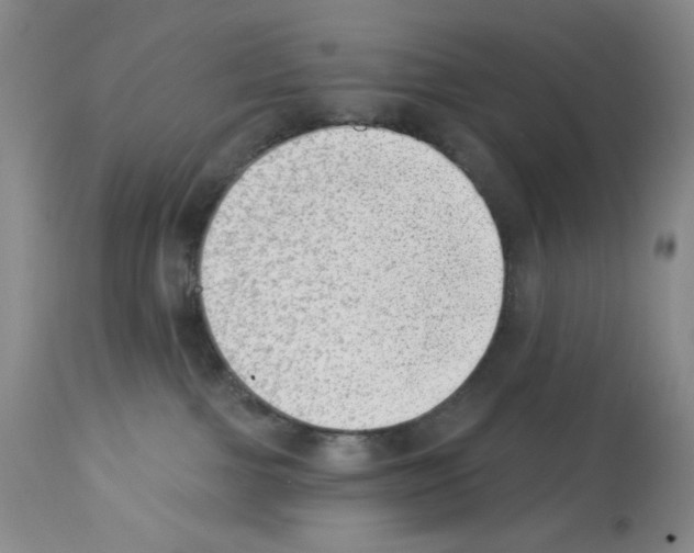 X0000112740091200910011231