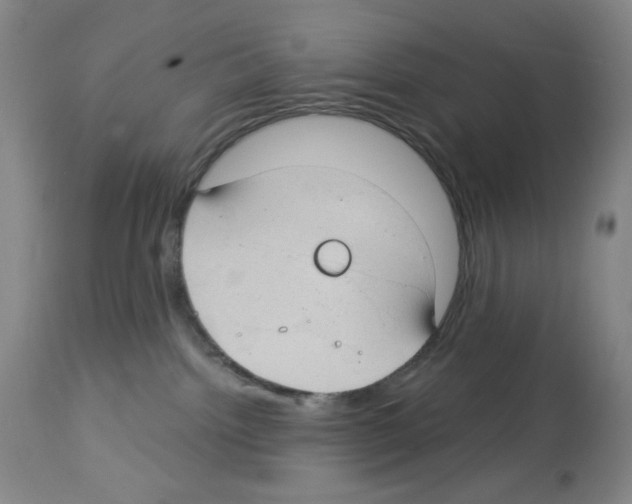 X0000112740092200910011231