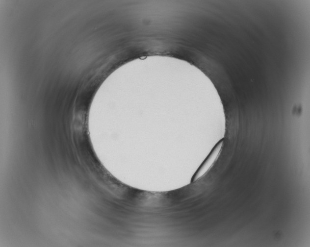 X0000112740093200910011231