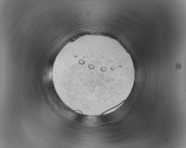 X0000112740095200910011231