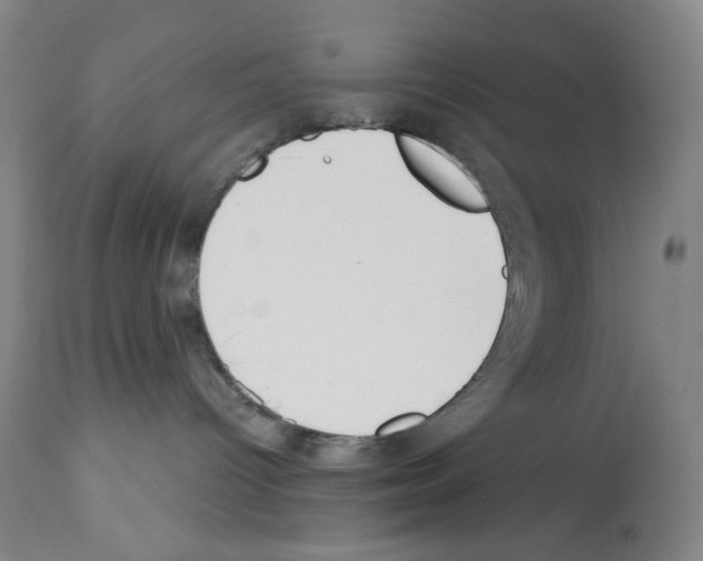 X0000112740096200910011231