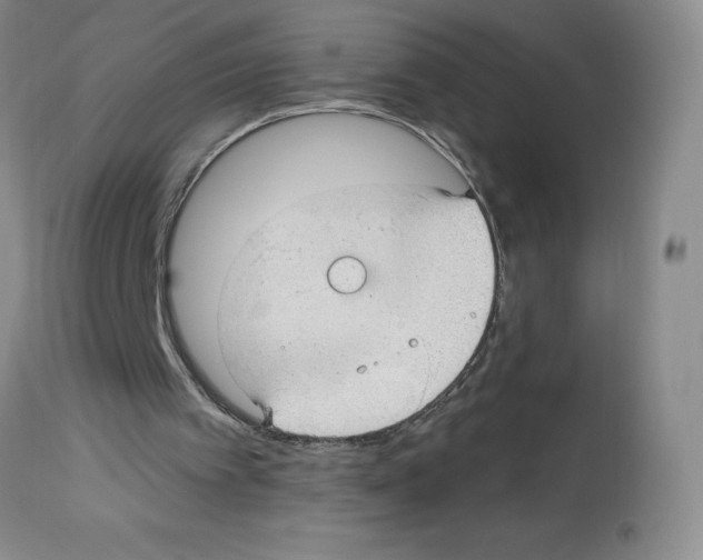 X0000112740097200910011230